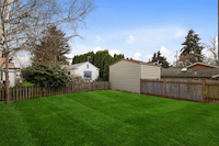 Lawn Replacement After