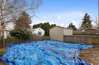 Lawn Replacement Before